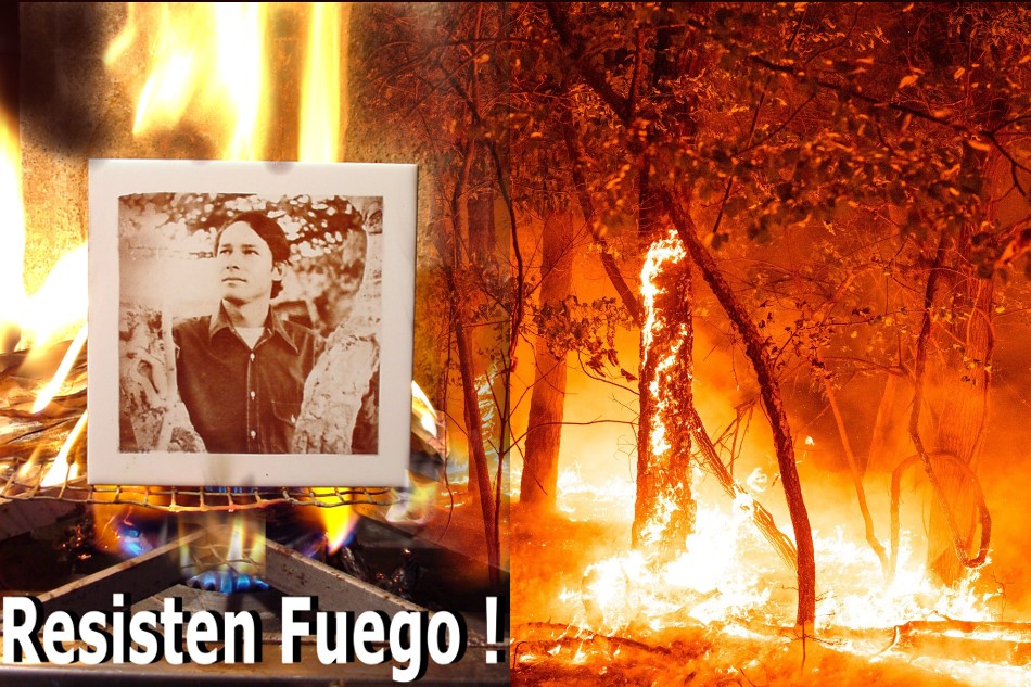 fotoceramica para lapidas resiste fuego